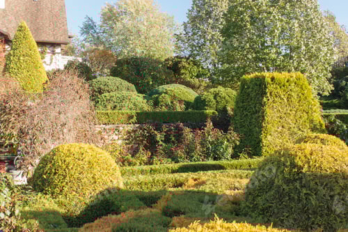 Preview: Cottage garden with topiary and trimmed bushes.