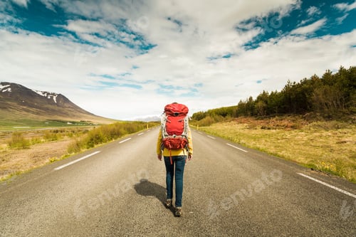 Preview: Backpacker Tourist