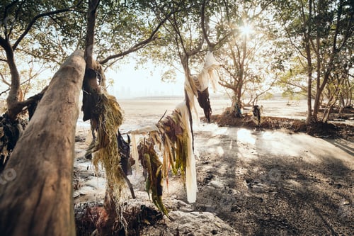 Preview: Garbage And Plastic Pollution On Seashore