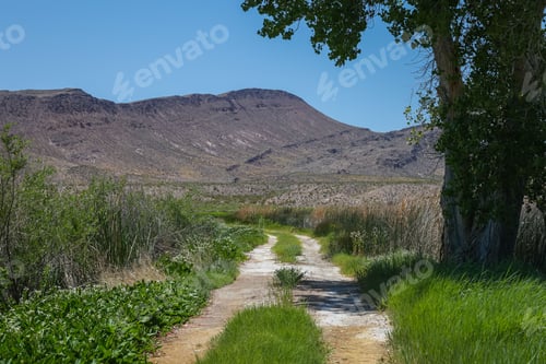 Preview: A walking path passing the ponds at Nevada's Pahranagat National Wildlife Refuge