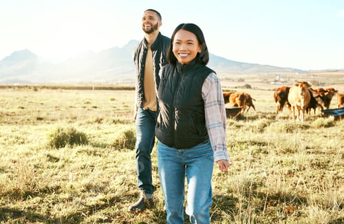 Preview: Farm, agriculture and cattle with a couple walking on a field or meadow together for beef of dairy