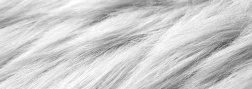 Preview: White faux fur as background, closeup. Banner design