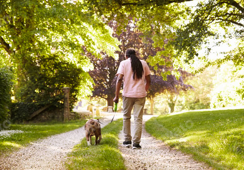 Preview: Rear View Of Senior Man Walking With Pet Bulldog In Countryside