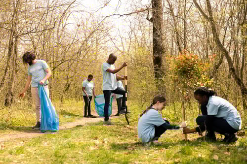 Preview: Diverse people working on reforestation and litter cleanup in the forest