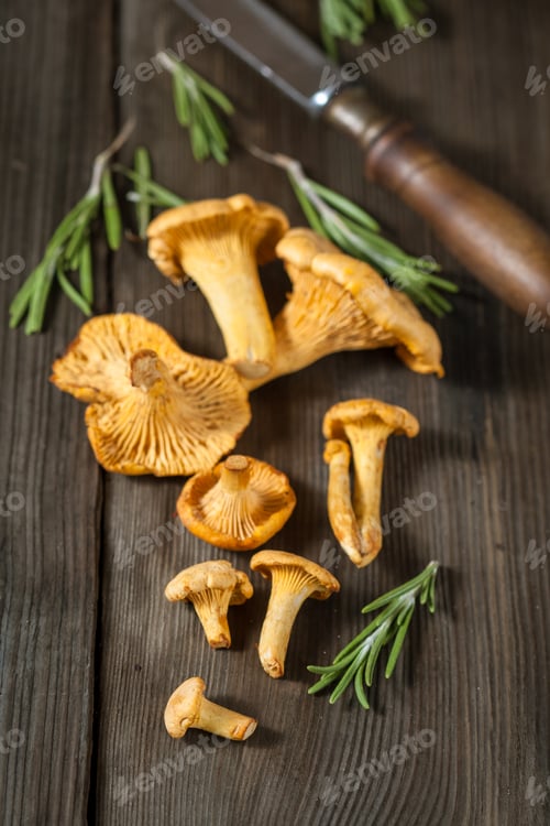 Vista previa: Сhanterelle mushrooms