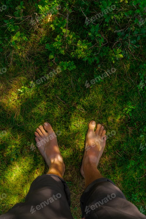 Preview: barefoot moss ground
