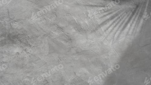 Preview: Empty grey cement rough wall background with shadow leaves and sunlight
