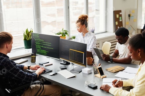 Preview: Programmers developing software in team
