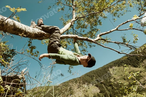 Preview: Boy hanging on branch of a tree