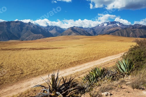Preview: Fields in Peru
