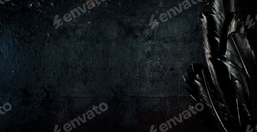 Preview: Halloween background with black raven feathers on dark grunge backdrop.