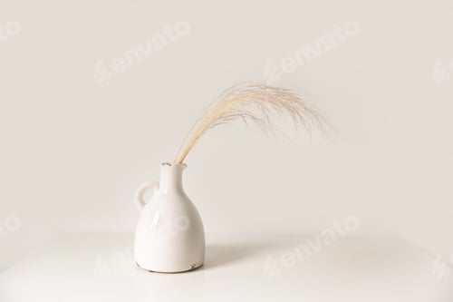 Preview: White vase with dried gold flowers on a white background