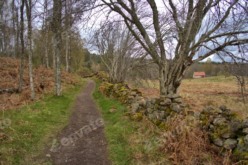 Preview: Scotland Landscape in early spring