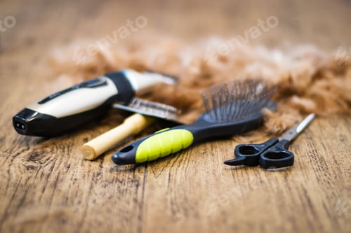 Preview: Pet Grooming Tools with Loose Fur on Wood