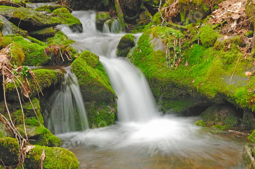 Preview: Mountain Stream in Spring