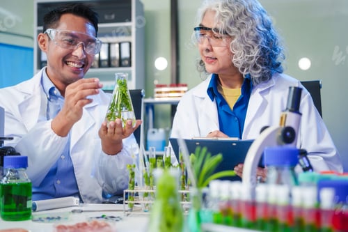 Preview: A female and male scientist conduct plant research in a laboratory,using microscopes, petri dishes