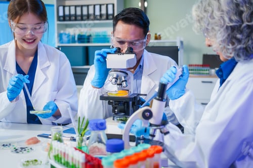 Preview: A male scientist and two women conduct plant research in a laboratory. microscopes, petri dishes