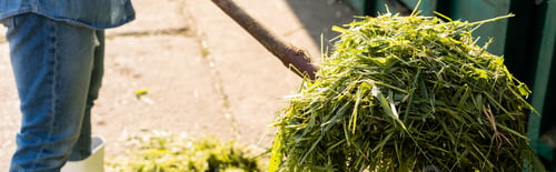 Preview: partial view of farmer stacking hay on farm, banner
