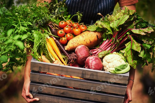 Preview: Cropped shot of an unrecognizable female farmer holding a crate full of fresh produce at her farm