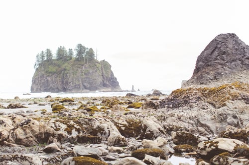 Preview: La Push Beach