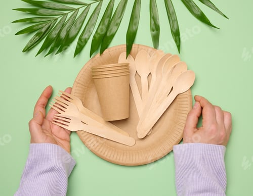 Preview: Paper plates and cups, wooden spoons and forks on a green background