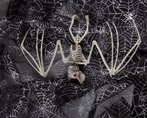 Preview: Bat skeleton as Halloween decor isolated on black cobwebs