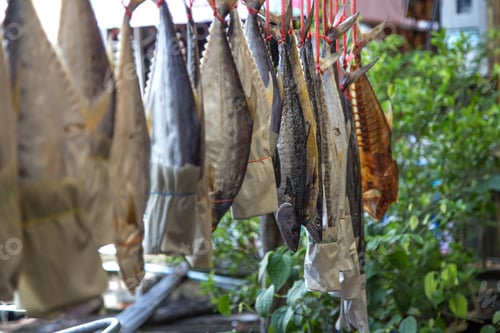 Preview: dried fish hanging on a rope, a life and business fisherman