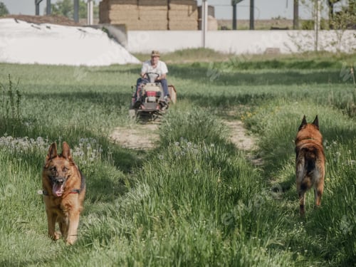 Preview: active senior caucasian farmer driving a tractor in the farm