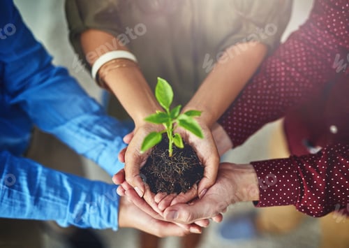 Preview: Working together to grow together