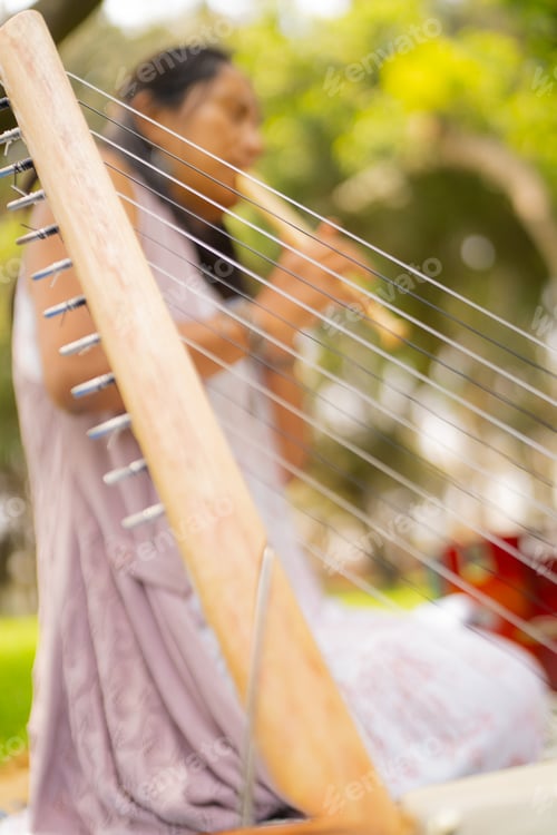Preview: Woman musician playing her musical instruments in the park