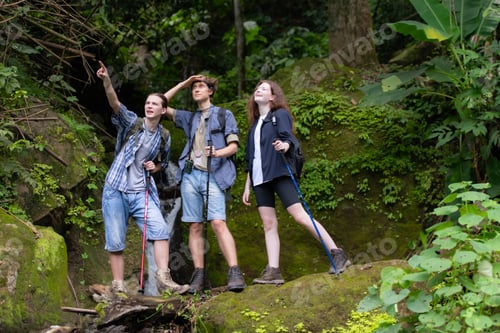 Preview: Group of young people hiking in the forest. Travel and adventure concept.