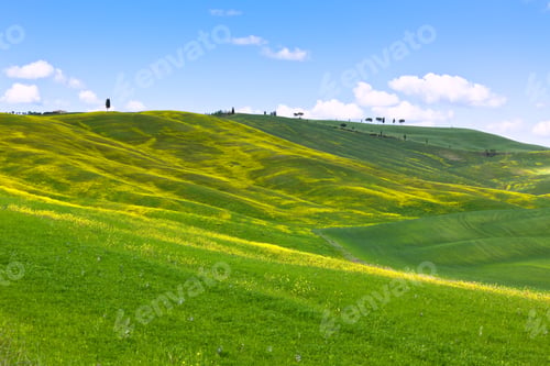 Preview: Tuscan Val d'Orcia background