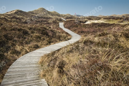 Preview: Boardwalk through hills covered by dry grass in Amrum island