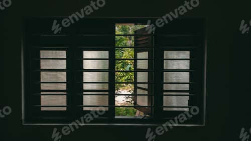 Preview: Window with its blinds open, surrounded by lush greenery