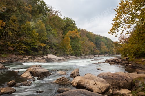Preview: Tygart Valley River surrounded by trees at daylight in the Valley Falls State Park, West Virginia