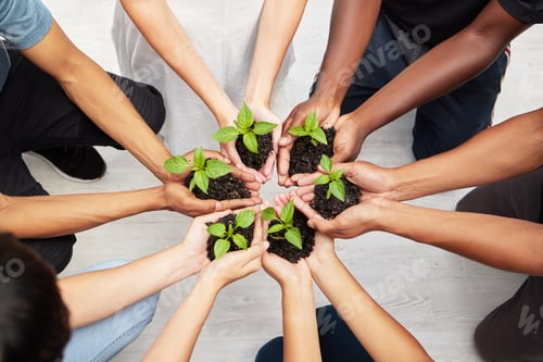 Preview: Helping new life to grow. Shot of a diverse group of people holding seedlings to be planted.