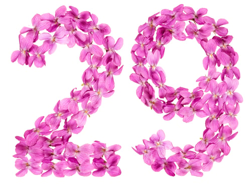 Preview: Arabic numeral 29, twenty nine, from flowers of viola, isolated on white background
