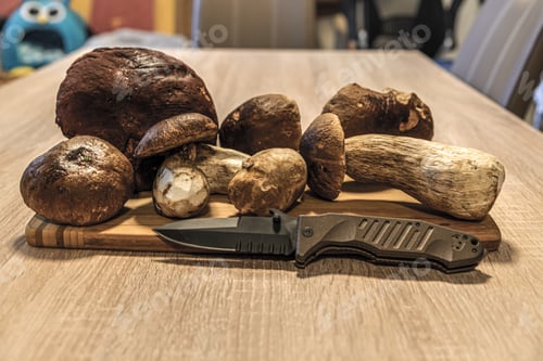Preview: Closeup shot of mushrooms with a knife on a chopping board
