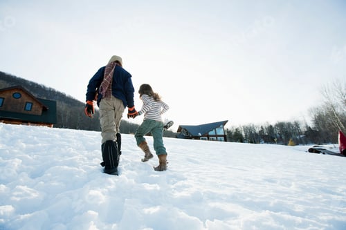 Preview: Brother and sister walking in snow