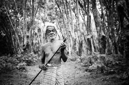 Preview: Rubber Plantation Worker Growth Green Occupation Concept