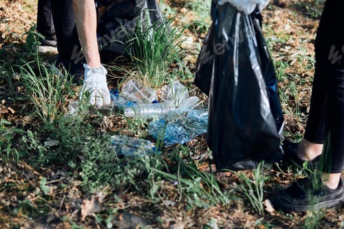 Preview: Family cleaning up a forest. Volunteers picking plastic waste to bags. Concept of plastic pollution