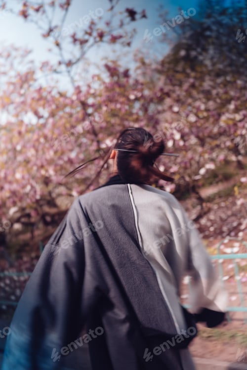 Preview: Back view of Beautiful young woman wearing kimono with cherry blossoms, sakura view