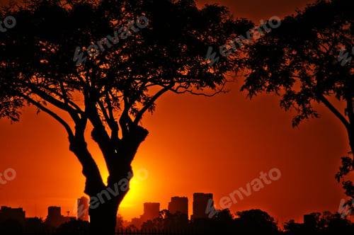 Preview: Buenos Aires at Sunset