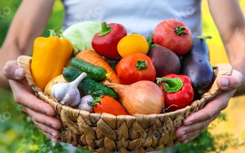 Preview: A man farmer holds vegetables in his hands. Selective focus.