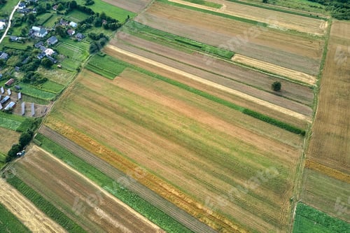 Preview: Aerial landscape view of green and yellow cultivated agricultural fields with growing crops