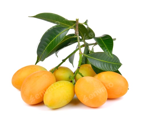 Preview: sweet marian plum thai fruit isolated on white backgroun