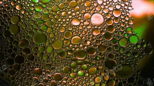 Preview: Abstract Colorful Food Oil Drops Bubbles and spheres Flowing on Water Surface