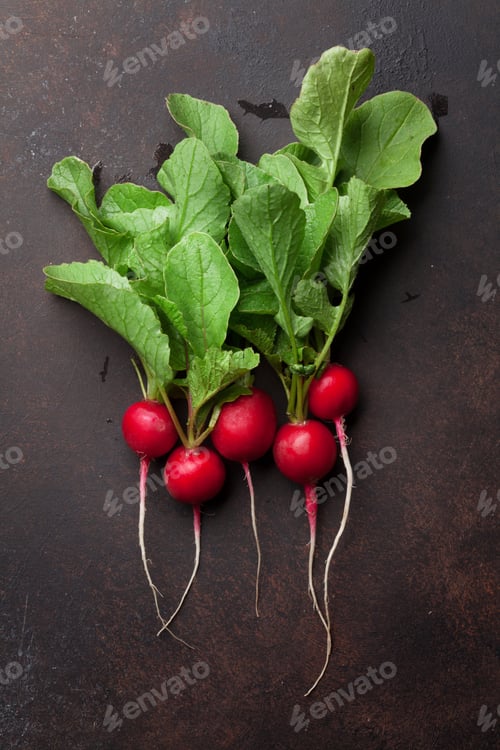 Preview: Garden radish