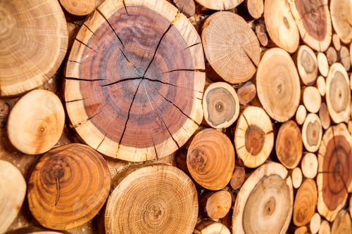 Preview: Round wooden stumps background,Trees cut section for background texture.