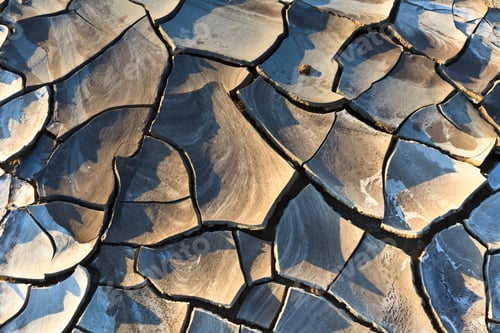 Preview: texture on dry land